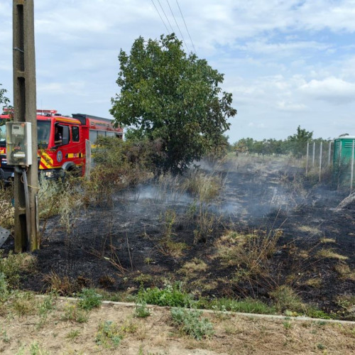 Incendiu de vegetație uscată la o livadă din Buhăceni