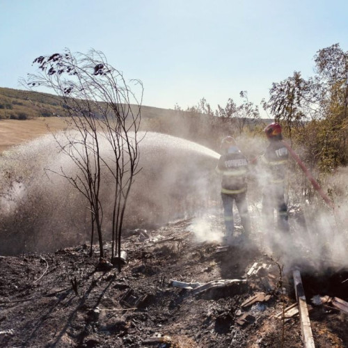 Incendiu puternic în apropierea localității Jijia, comuna Albești