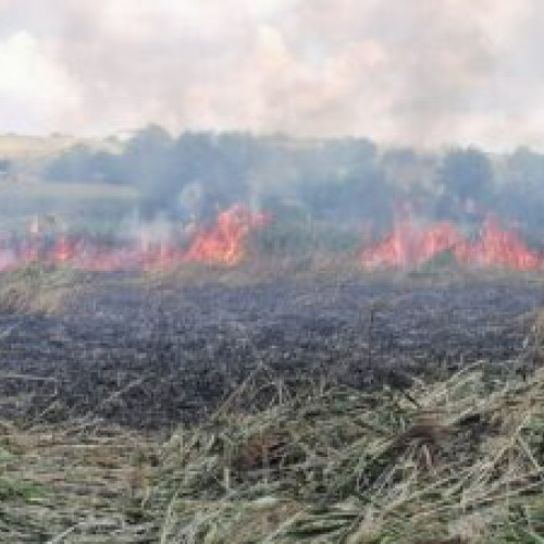 Incendii în trei localități din județul Botoșani