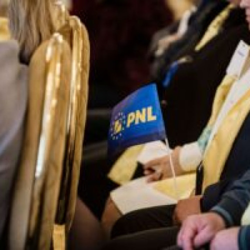 PNL Botoșani a anunțat candidații pentru Senat și Camera Deputaților