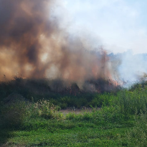 Incendiu de vegetație în Botoșani: Pompierii au intervenit rapid pentru a proteja culturile