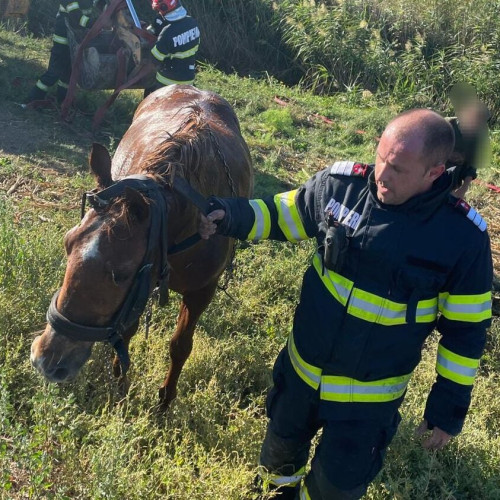 Pompierii din Botoșani salvează un cal din râul Jijia