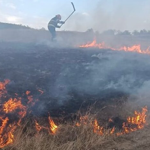 Incendiu de mari proporții în zona Cucuteni