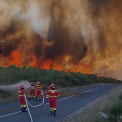 Incendiu de vegetație devastator în județul Maramureș