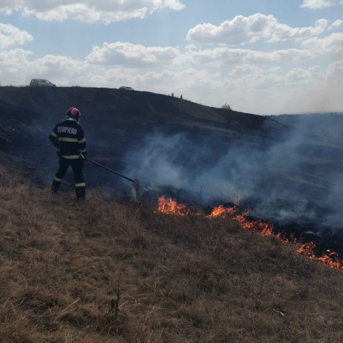 Pompierii din Botoșani sting două incendiile de vegetație uscată