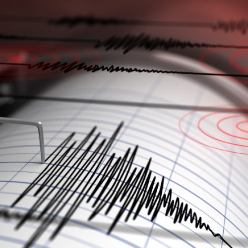 Cutremur slab în județul Buzău, zona seismică Vrancea