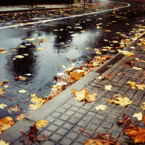 Prognoza meteo: Temperaturi în creștere și precipitații în Moldova