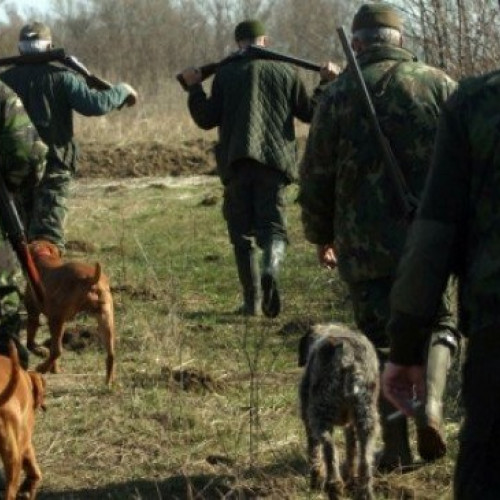 Fond de vânătoare din județul Botoșani scos la licitație