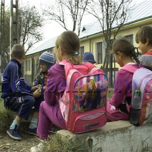 Situația școlară a elevilor din Botoșani, alarmantă la finalul anului școlar