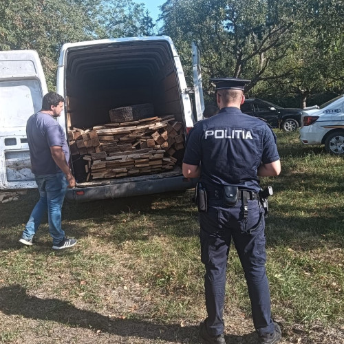 Doi șoferi amendați pentru transport ilegal de lemn
