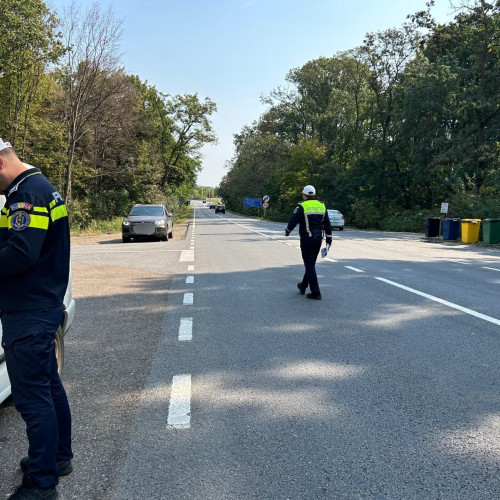 Şofer amendat de poliţiştii botoşăneni pentru transport ilegal de material lemnos