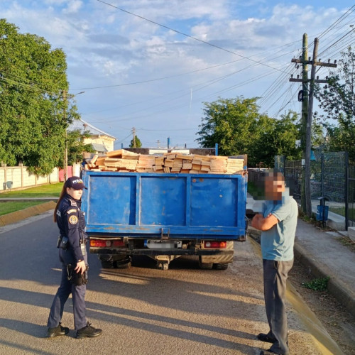 Bărbat din Botoșani amendat și lăsat fără lemne, după un control al poliției