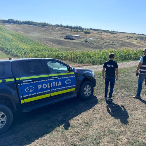 Bărbat amendat cu 12.000 de lei pentru abandonarea pisicilor
