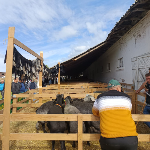 O nouă piață modernă de produse agricole se va construi în comuna Răchiți
