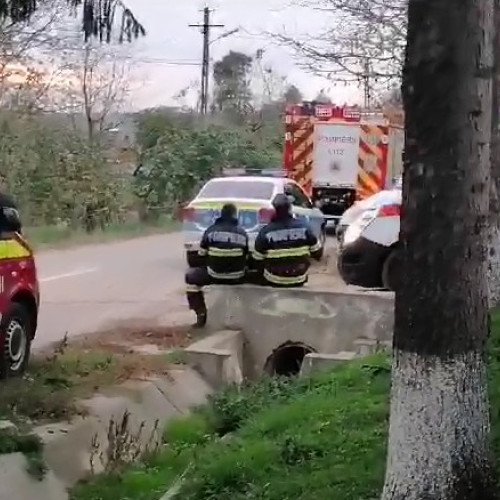 Două femei din Botoșani au apelat autoritățile după ce s-au rătăcit în pădure