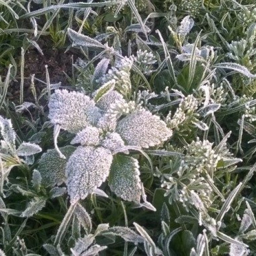 Frig sever și îngheț în România: Temperaturi de până la -8 grade