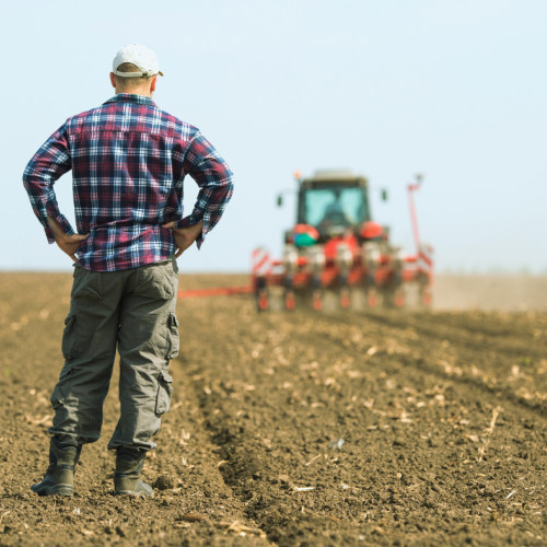 APIA Botoșani anunță plata ajutoarelor de stat pentru agricultori