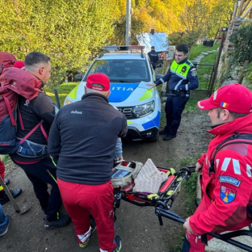 Femeie de 67 de ani din Maramureș, atacată de un câine vagabond