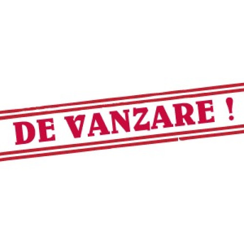 Fabrica de pâine din Botoșani scoasă la vânzare de un lichidator