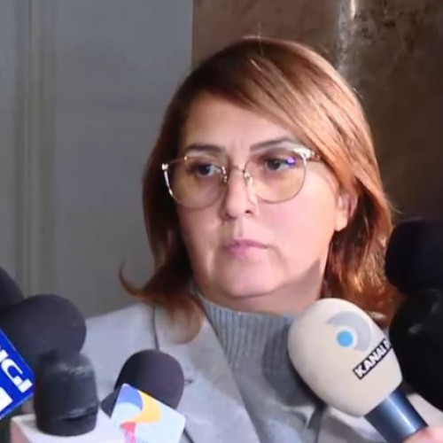 Fiica milionarului ucis la Arad, cercetată în libertate alături de complicii săi