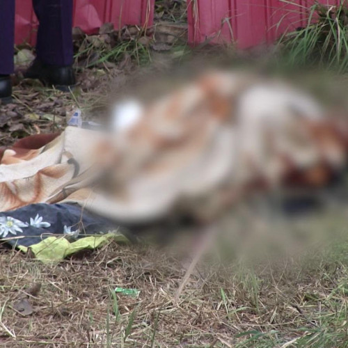 Tragedie în localitatea Calinesti din Botoșani: un bărbat de 64 de ani s-a sinucis