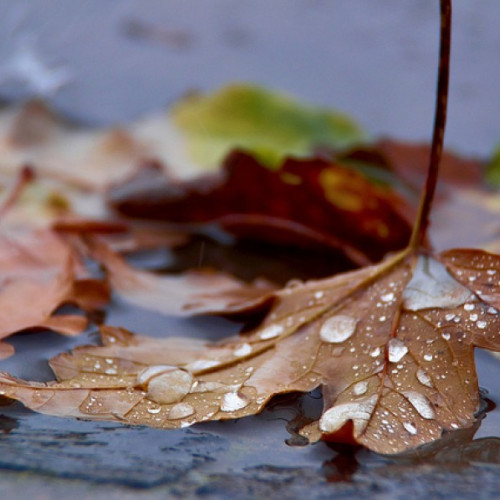 Prognoza meteo actualizată pentru perioada 29 octombrie - 25 noiembrie 2024