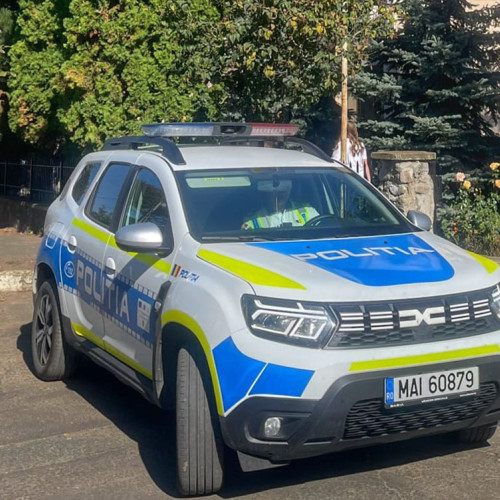 Sucevean sancționat pentru transport ilegal de lemne la Botoșani