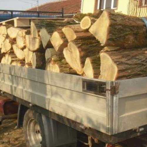 Tânăr din Suceava prins de polițiștii botoșăneni transportând lemne fără documente