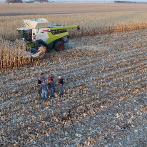 Anul agricol 2024 afectat de secetă în județul Botoșani