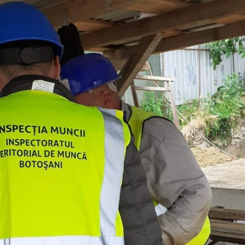 Doi botoșăneni, prinși muncind la negru
