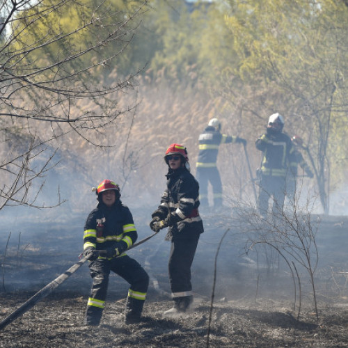 Pompierii din Mehedinți se luptă cu incendii de vegetație uscată