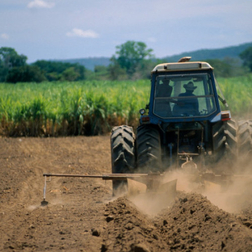 Criza de specialiști în agricultură și industria alimentară