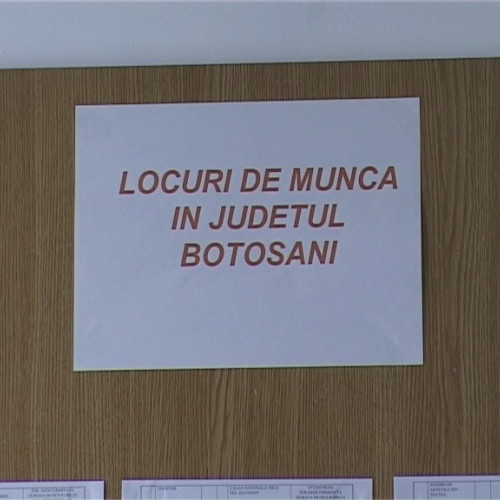 Somerii din Botoșani au la dispoziție peste 350 de locuri de muncă vacante