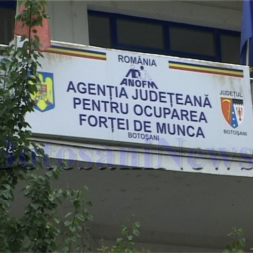 Concurs pentru un post de consilier la AJOFM Botoșani