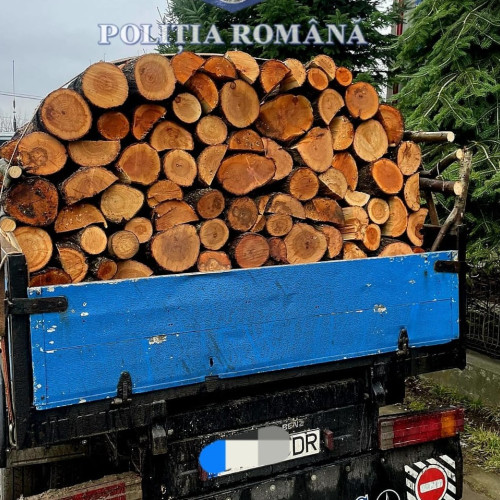 Șofer amendat și rămas fără lemne, după un control în Darabani