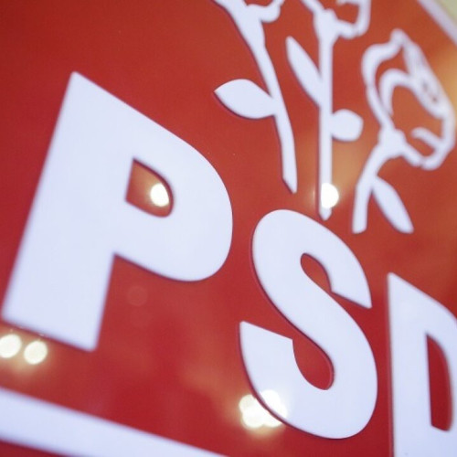 PNL Botoșani, sancționat pentru încălcarea legislației electorale