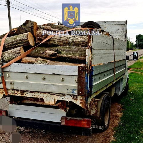 Șofer amendat și rămas fără încărcătura de lemne în Botoșani