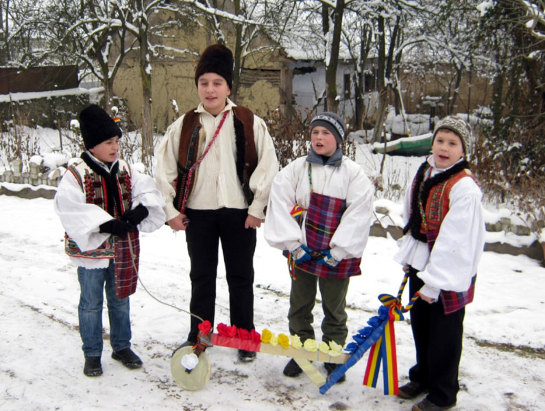 Image Description