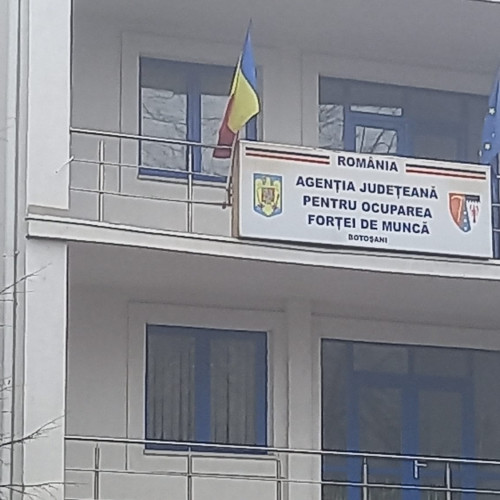 Peste 3.700 de persoane integrate pe piața muncii în Botoșani în 2024