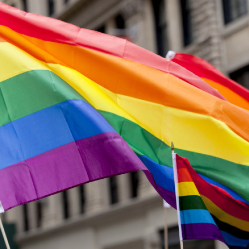 Parlamentul ungar adoptă amendamentul pentru interzicerea paradelor gay