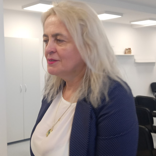 Daniela Fetcu, propunerea lui Valeriu Iftime pentru conducerea PNL Botoșani