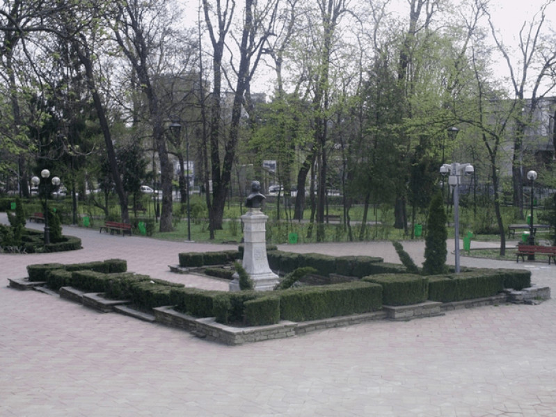 Image Description