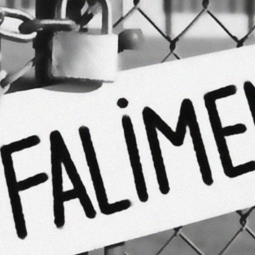 O firmă din Botoșani a intrat în faliment