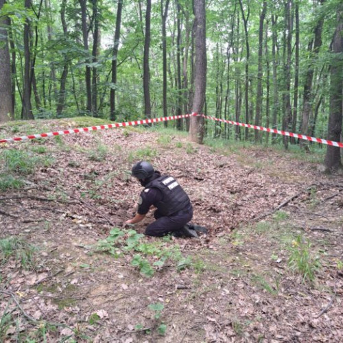 Descoperire periculoasă într-o pădure din Botoșani: un proiectil neexplodat de calibru 76,2 mm
