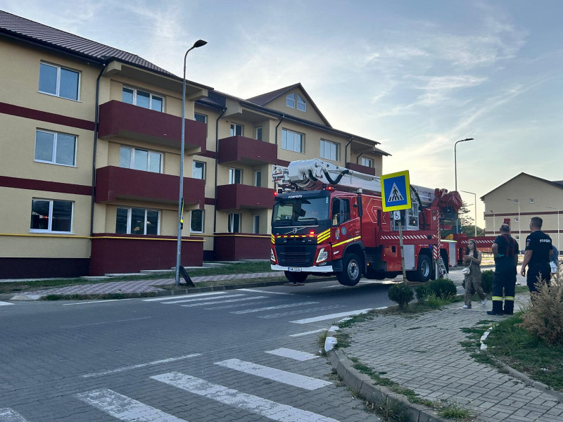 Pompierii din Botoşani salvează pisică blocată pe acoperișul unui bloc din ANL Cișmea