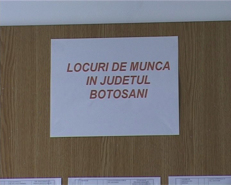 Somerii botoșăneni au la dispoziție 293 locuri de muncă vacante prin AJOFM Botoșani