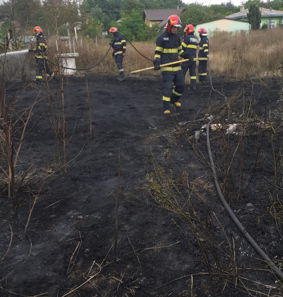 Pompierii au salvat patru case în Săveni și Santa Mare după incendii de vegetație