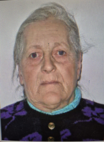 Femeie de 85 de ani din Mihăileni, dispărută în Botoșani, căutări în desfășurare