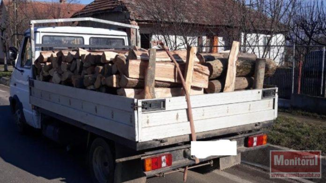 Depistat un transport ilegal de lemne în municipiul Dorohoi