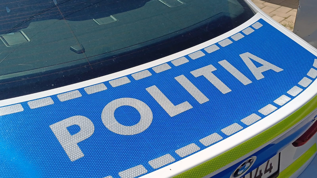 Bărbat prins la Dorohoi transportând ilegal material lemnos